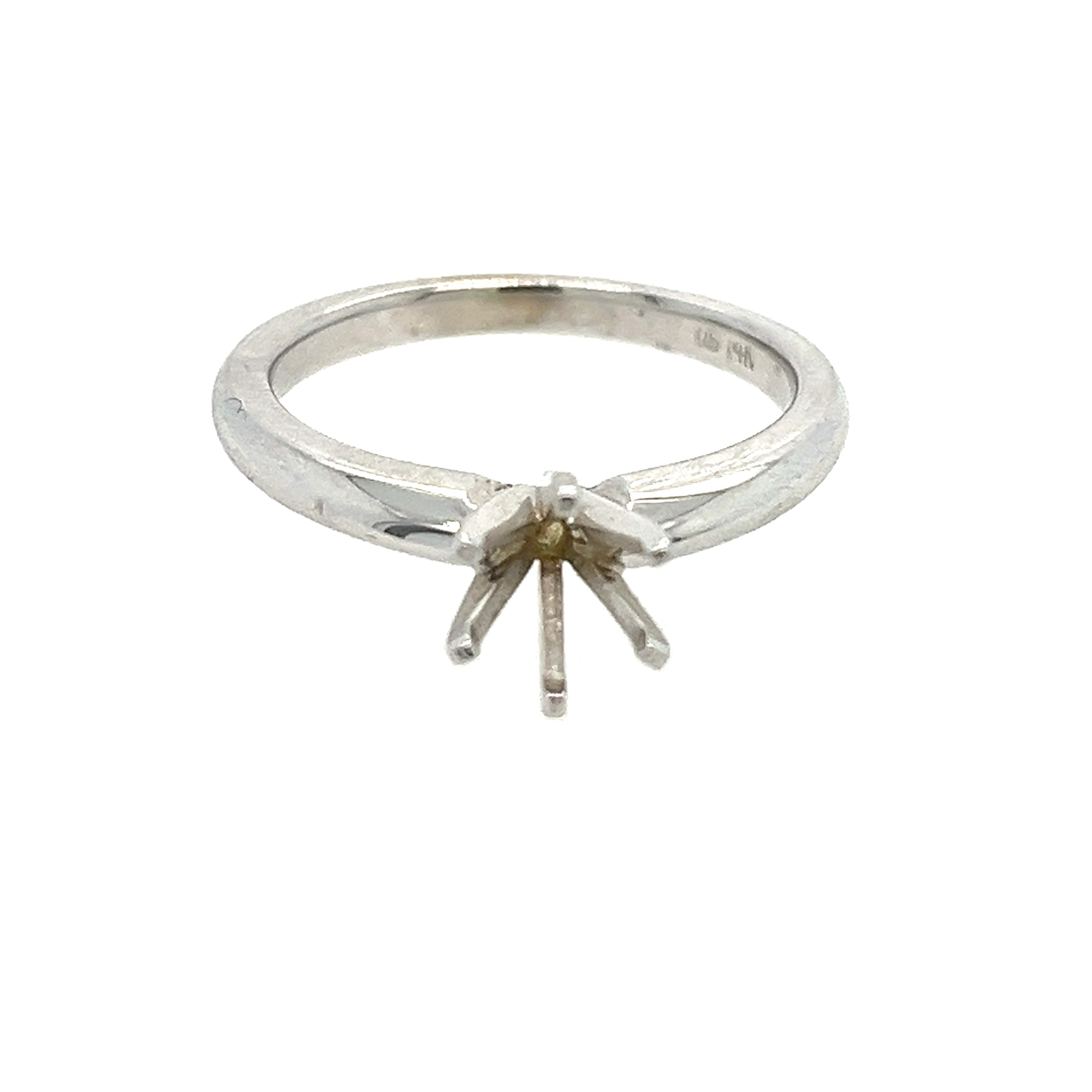 Precious Metal (No Stones) Remount