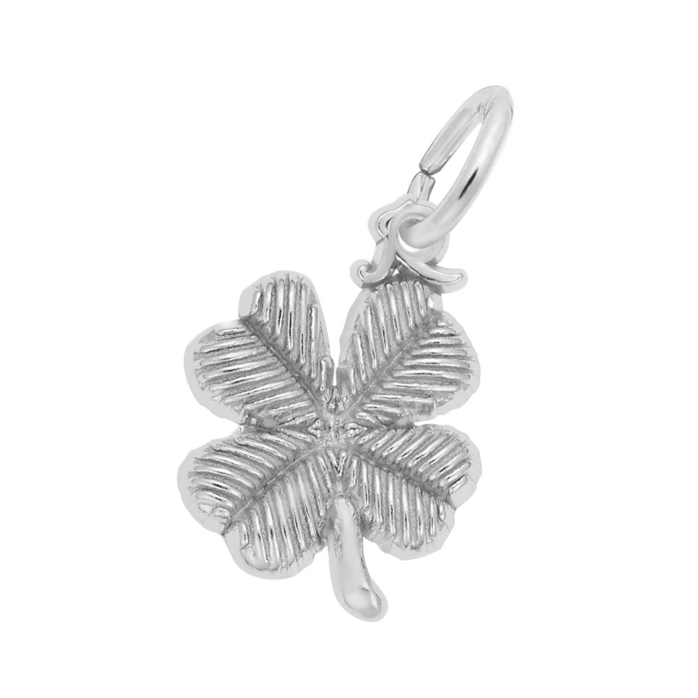 Silver Charms/Pendant