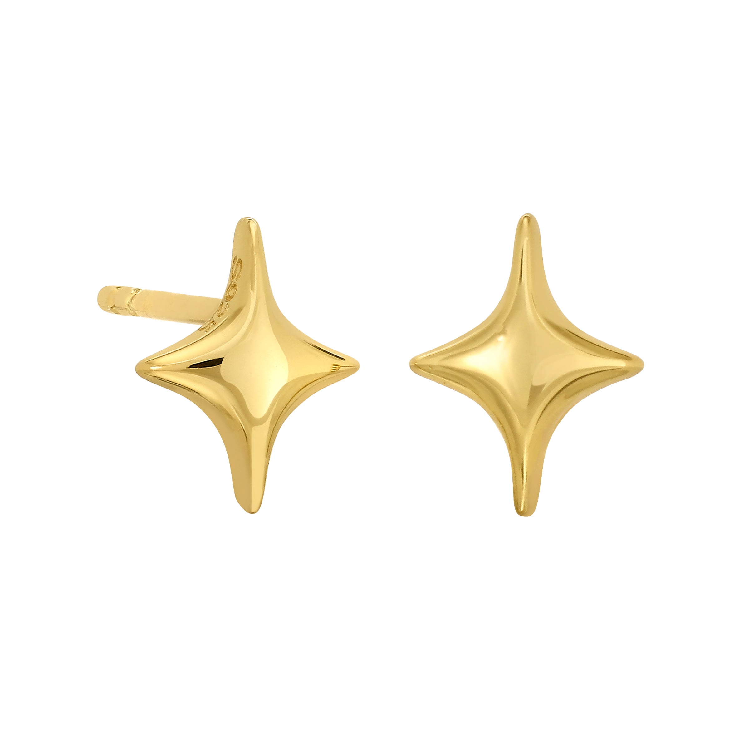 Costume Earring