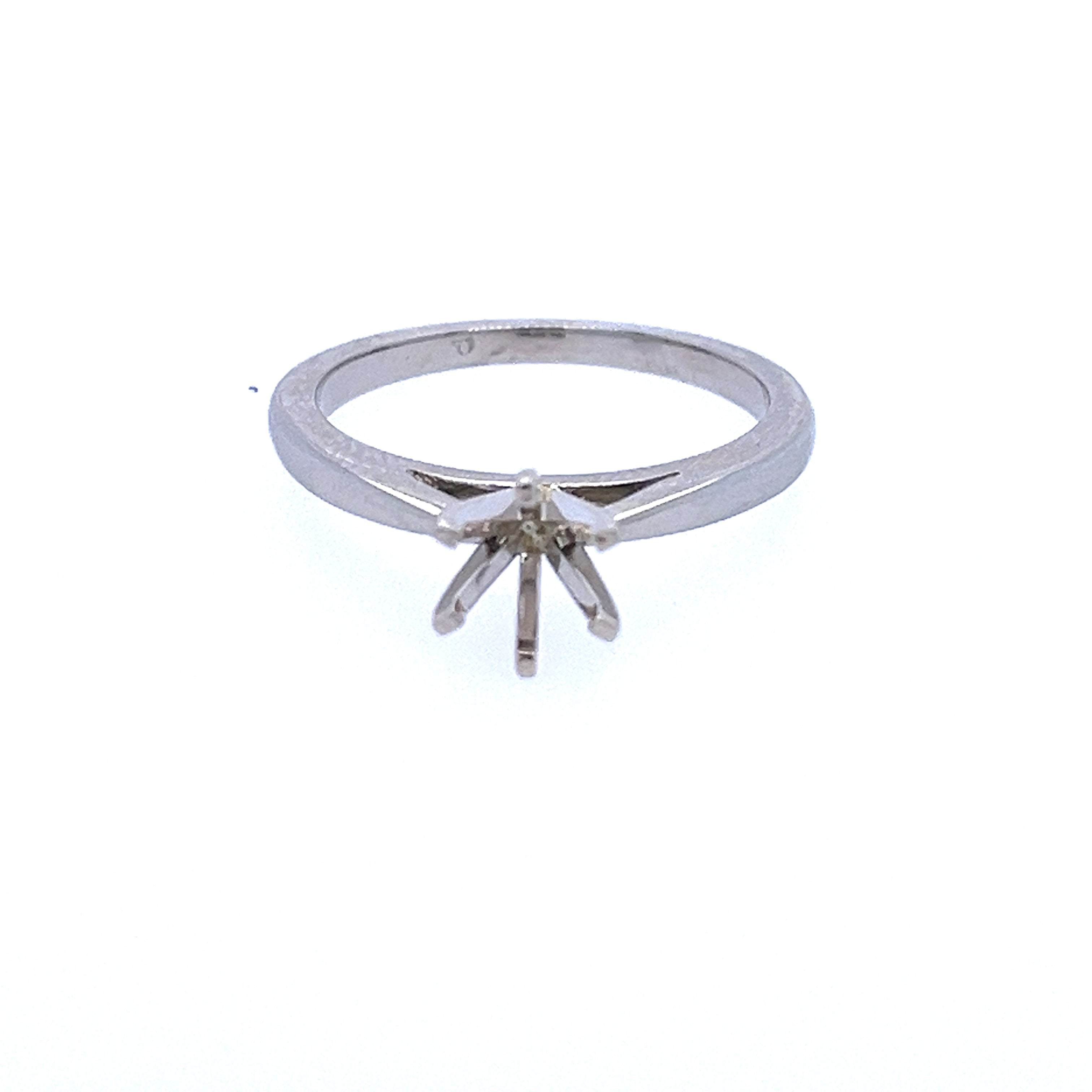 Precious Metal (No Stones) Remount