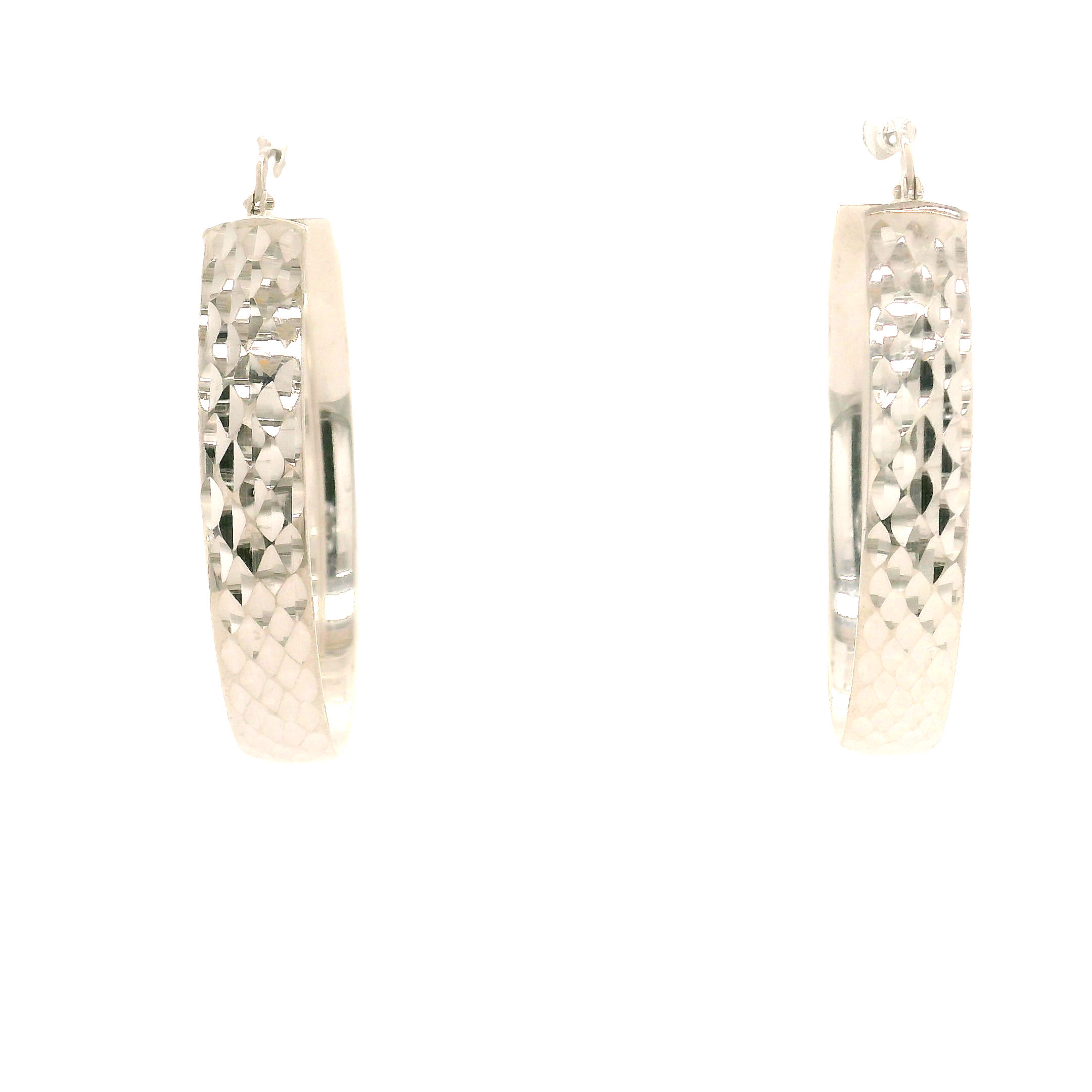 Silver Earring