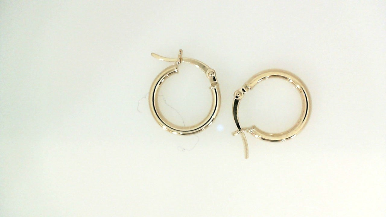 Precious Metal (No Stones) Earring