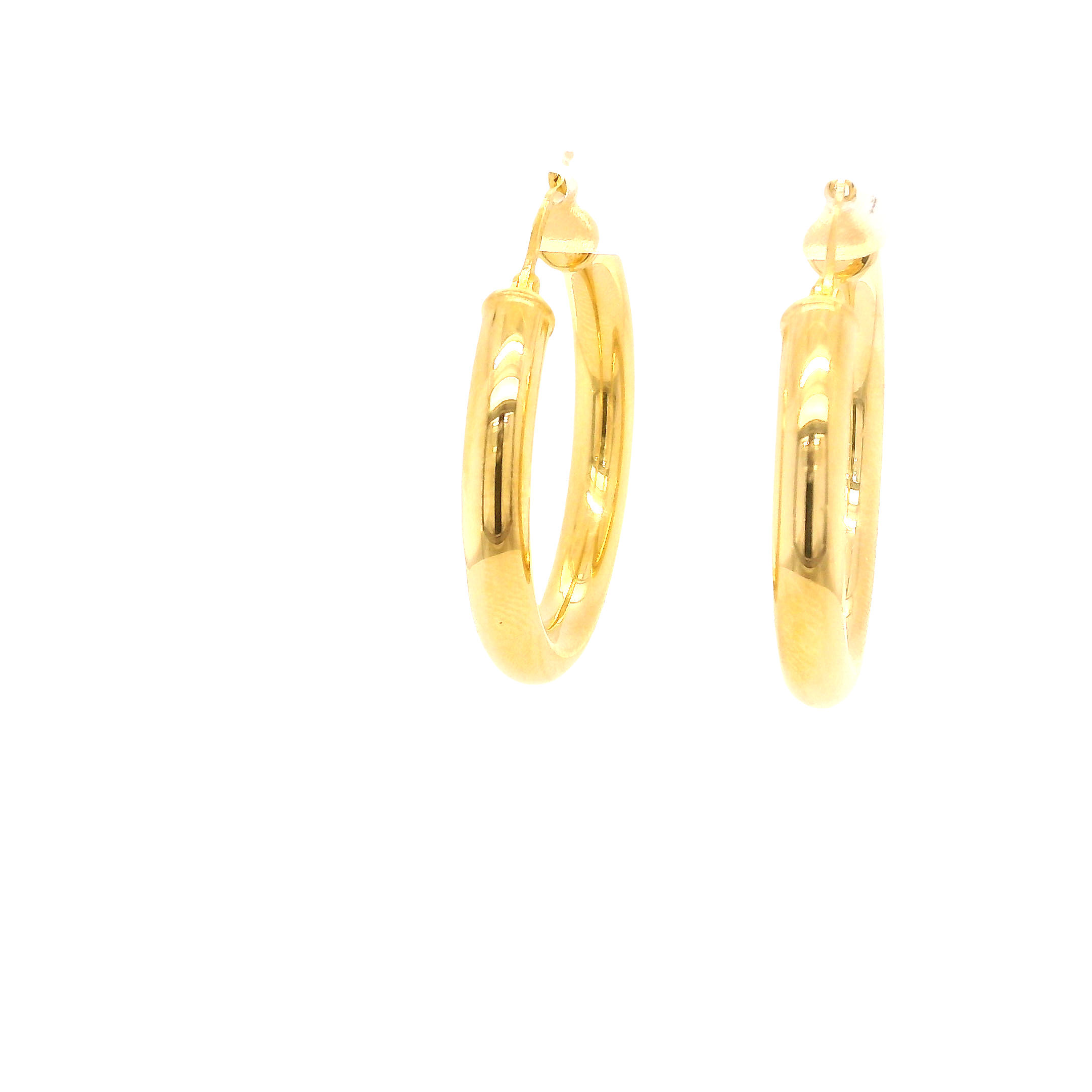 Costume Earring