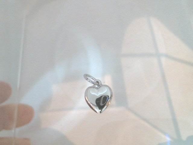 Silver Charms/Pendant