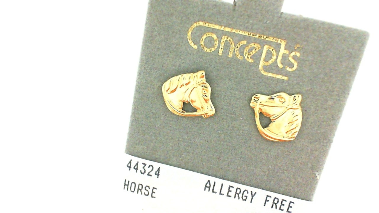 Costume Earring