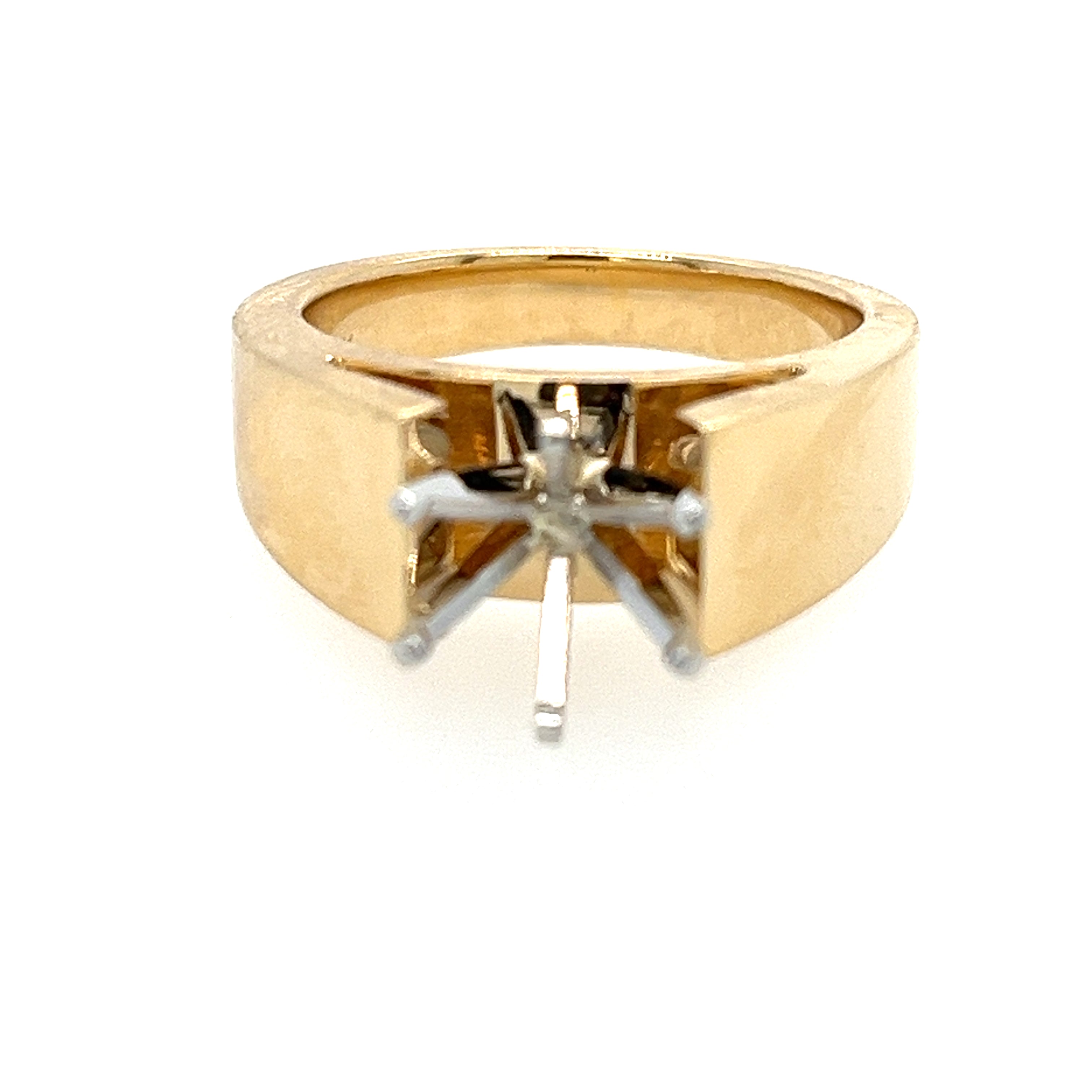 Precious Metal (No Stones) Remount